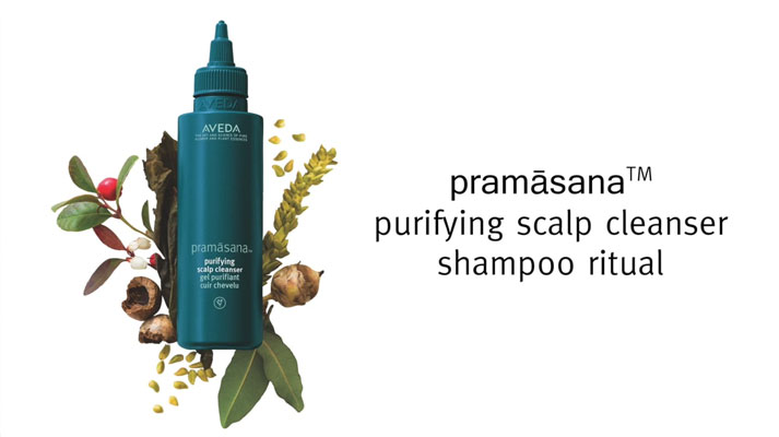 Pramasana